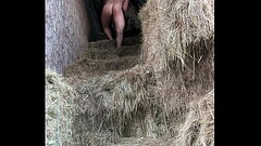 It'_s the climb Thumb