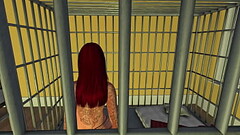 10 Days a Slave Thumb