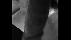 Pito rico de Morelos Thumb