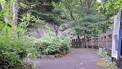 外でするおしっこは気持ちがいい Thumb