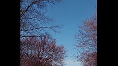 Outdoor in public 9 Thumb